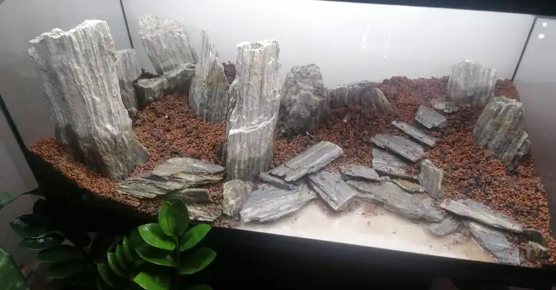 Akvaryum Bitki Kumu Tavsiyesi: En İyi Akvaryum Kumu Hangisi? 18 JBL Proscape Kullanıcı Yorumları
