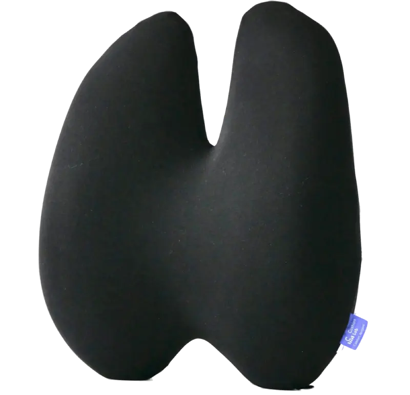 Ortopedik Bel Yastığı Tavsiyesi Arayanlar İçin En İyi Bel Yastıkları! 2 Cushion Lab Ekstra Yoğun Bel Yastığı