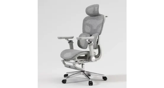 Ergo X300 Çalışma Koltuğu