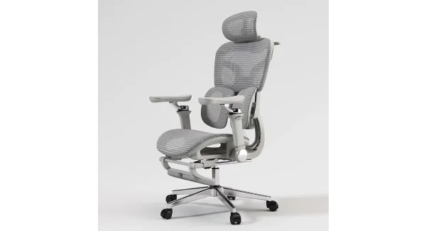Ergo X300 Çalışma Koltuğu