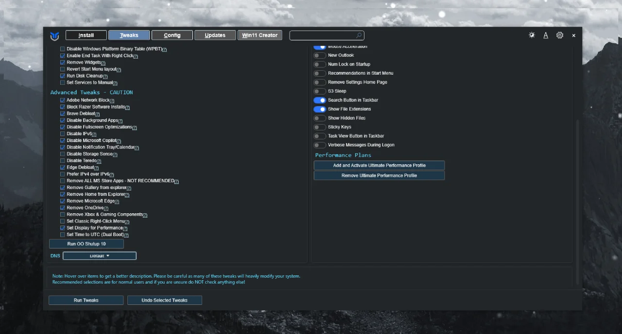 WinUtil Gelişmiş Seçeneklar alanında yaptığımız seçimler
