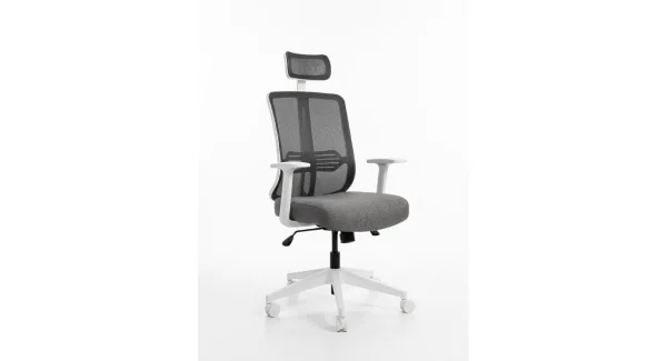 Zeon Büro Comfort Çalışma Koltuğu